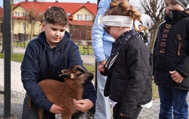 Owieczka, kt&oacute;ra była na jarmarku wielkanocnym w Osieku. 
